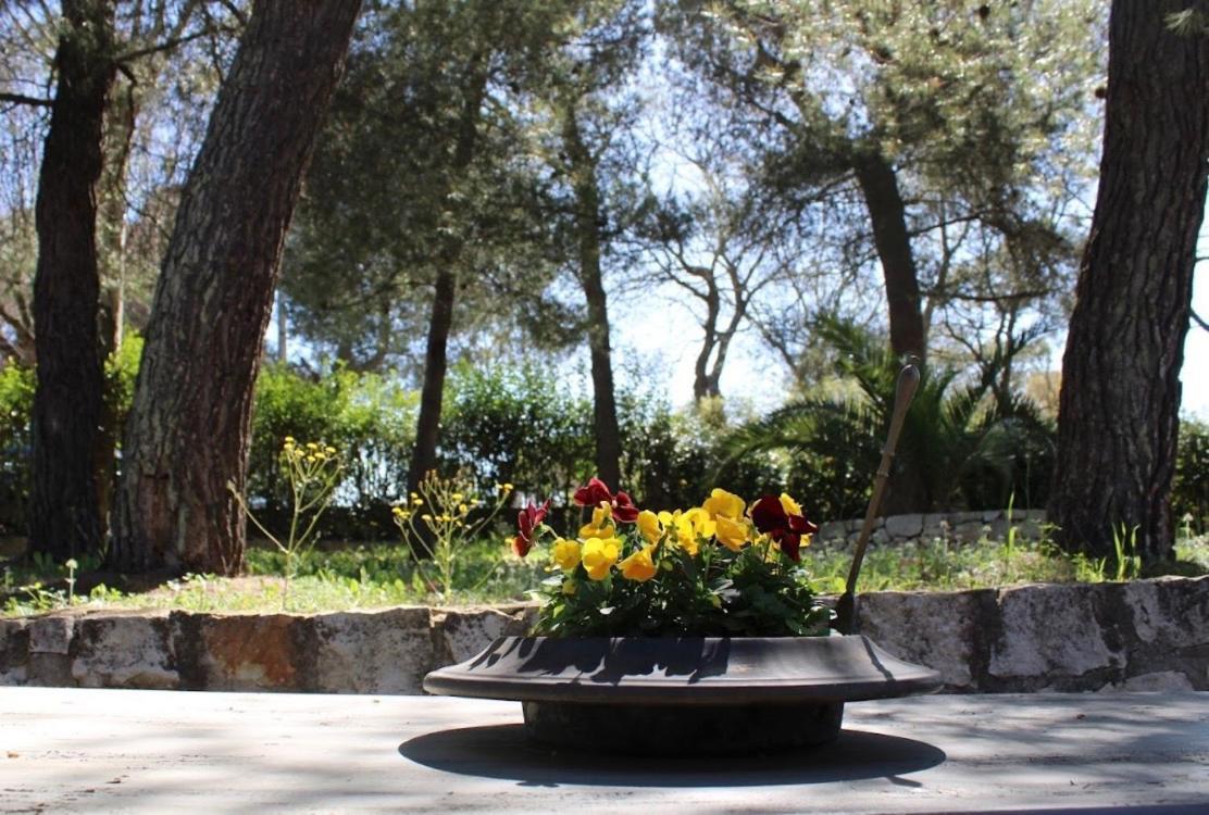 Trulli Pinnacoli Locorotondo Buitenkant foto